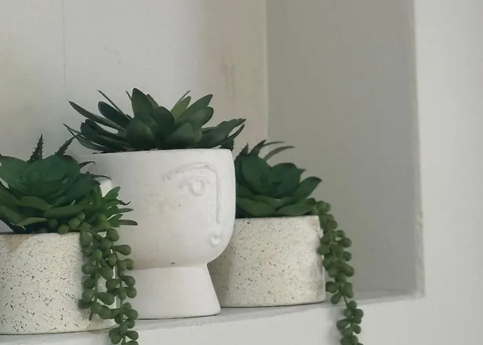 アパート Willson *